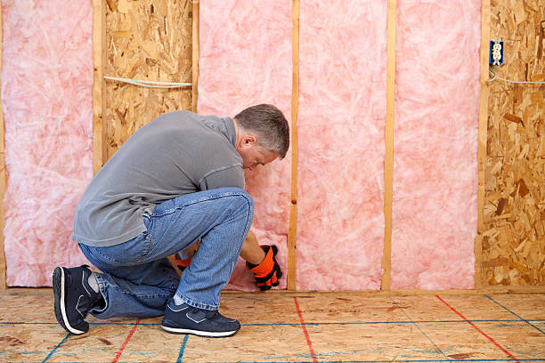 Best Insulation Maintenance and Repair in Mays Landing, NJ